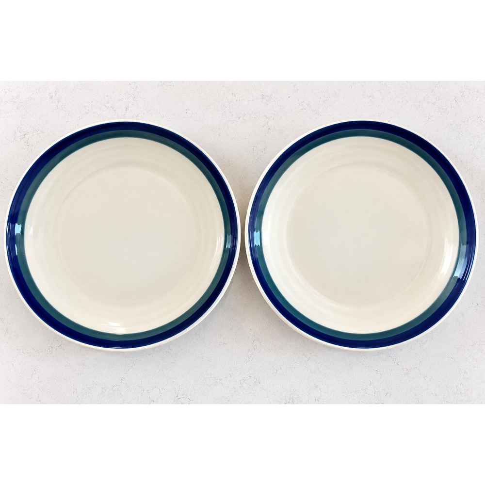 2 PFALTZGRAFF Northwinds Plates VTG Lunch Salad USA 6.75" Farmhouse Cottagcaore